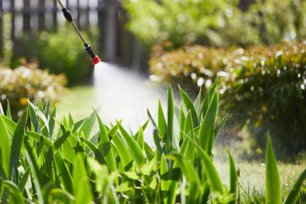 24/7 Emergency Ant Control experts in Bluffton, SC