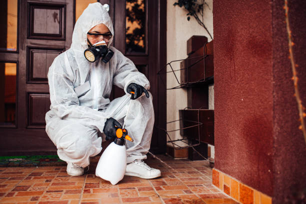 Reliable Ant Control contractor in Bluffton, SC by Show Me Pest Control